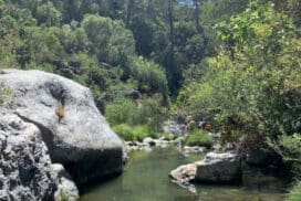 Benahavis River River in Benahavis"