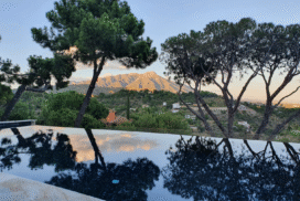 villa in el madronal