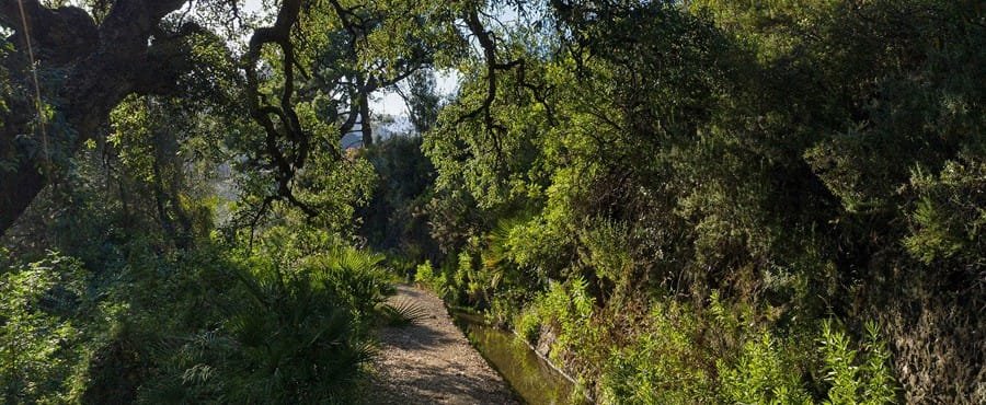 Peaceful mountain walking lifestyle in Benahavís Andalusia