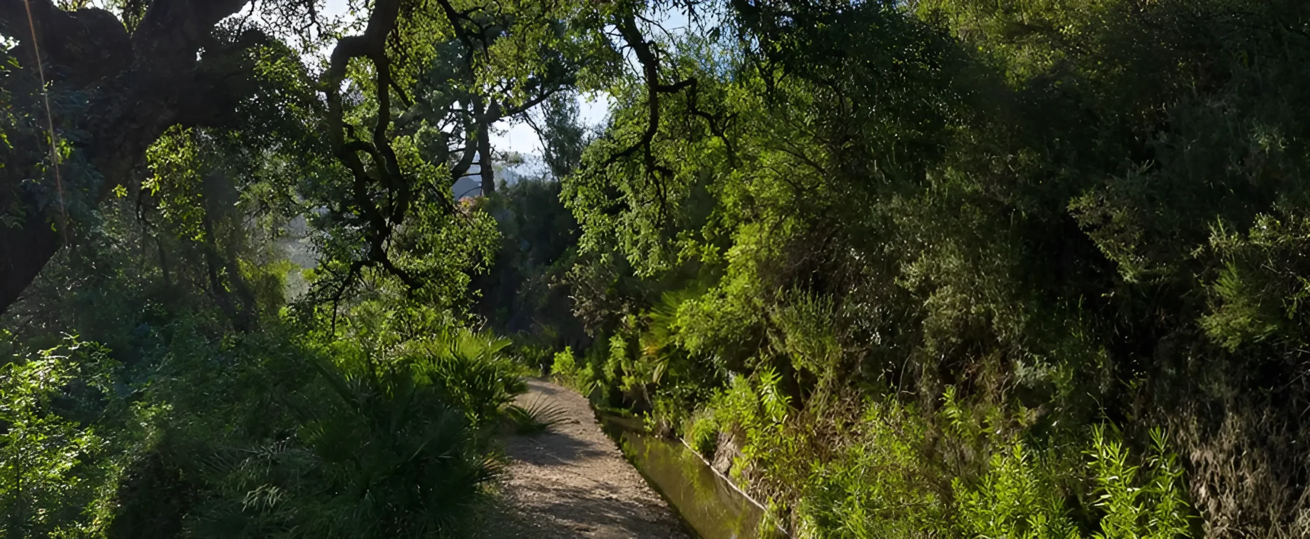 Benahavís outdoor lifestyle — walking trails, nature and mountain views