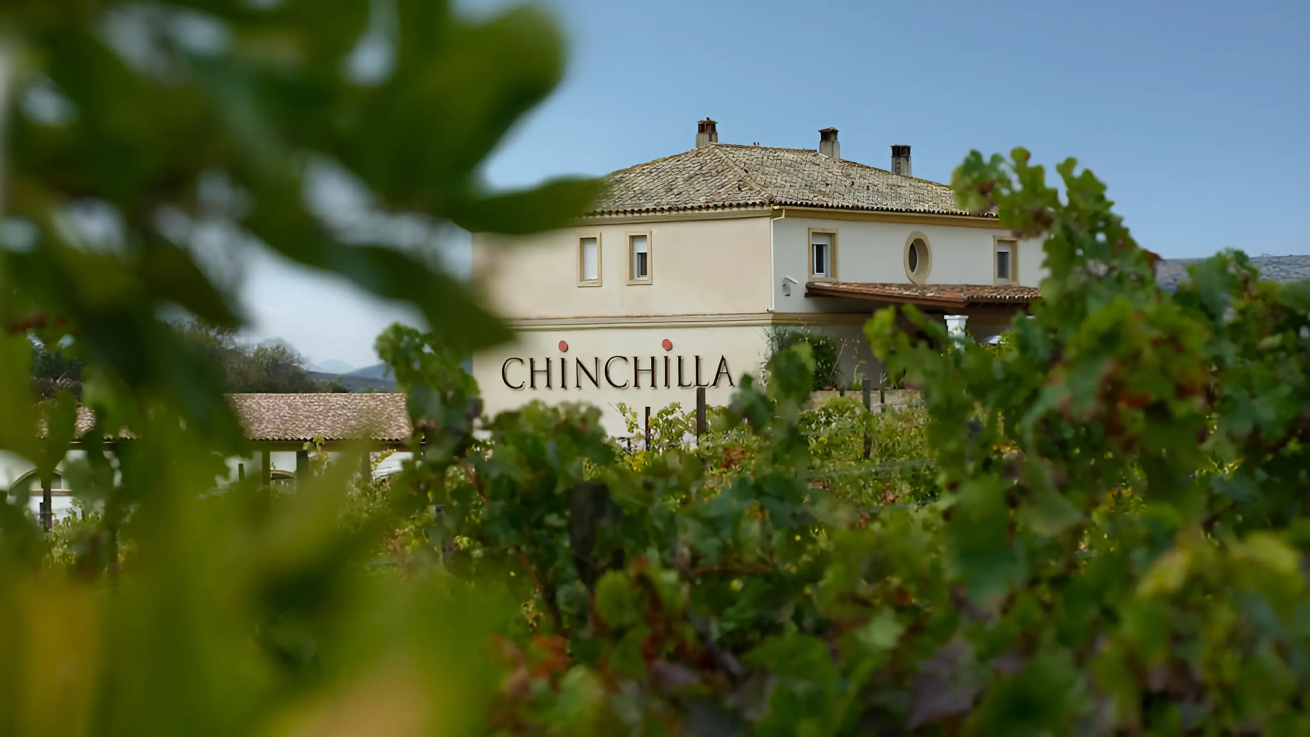 Vineyards and wine culture in Málaga province, Spain