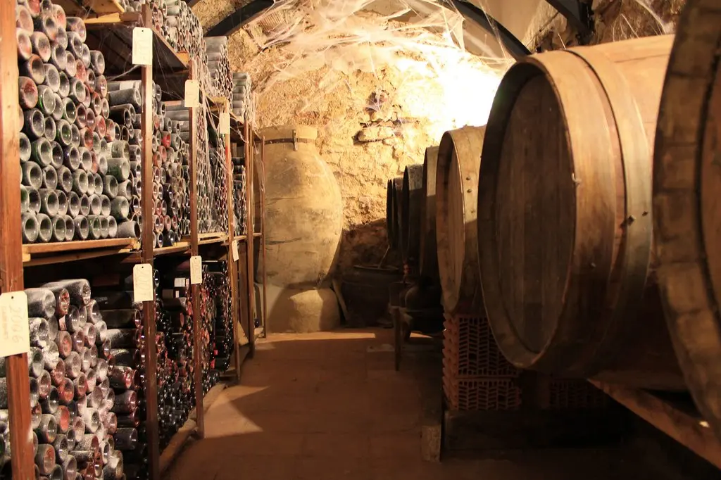 Winery and tasting room in Málaga province near Ronda