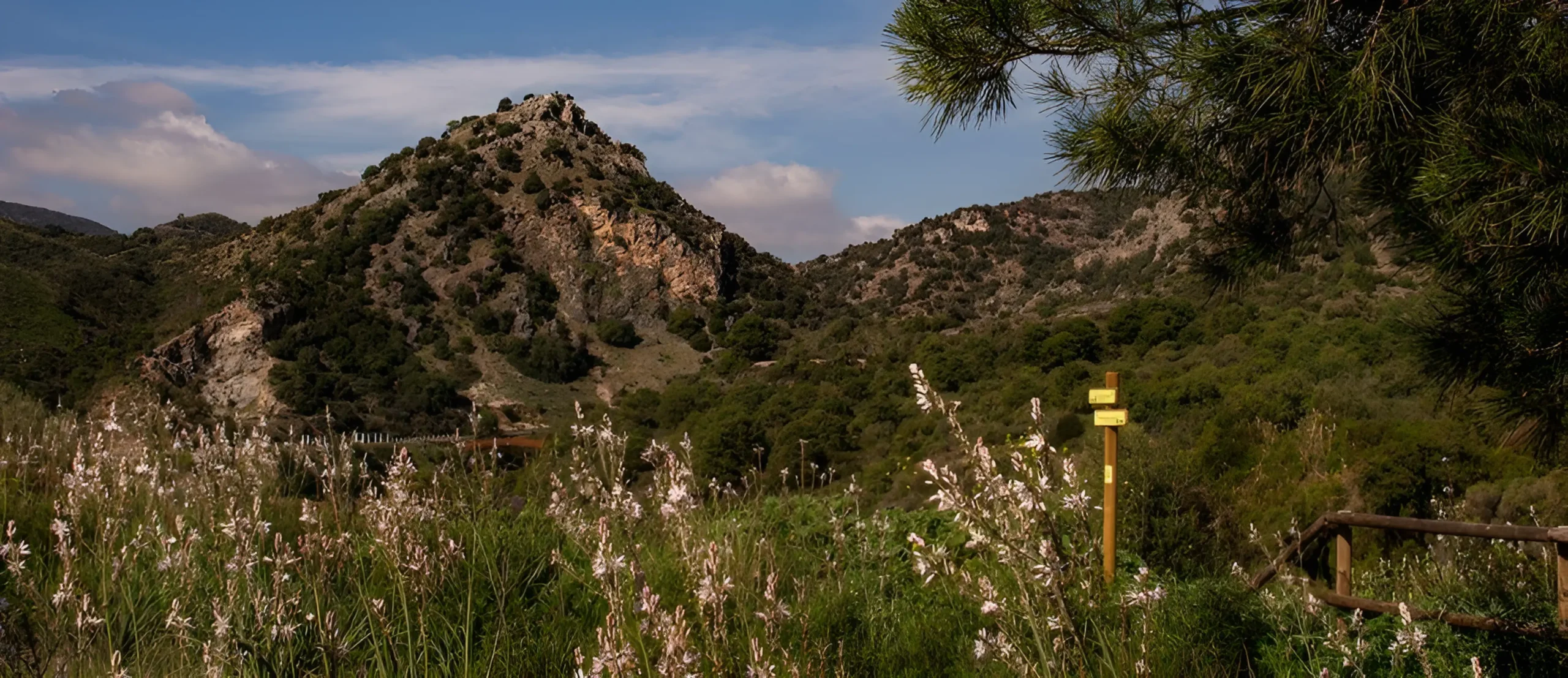 Green hills, trees and golf landscapes in Benahavís during pollen season