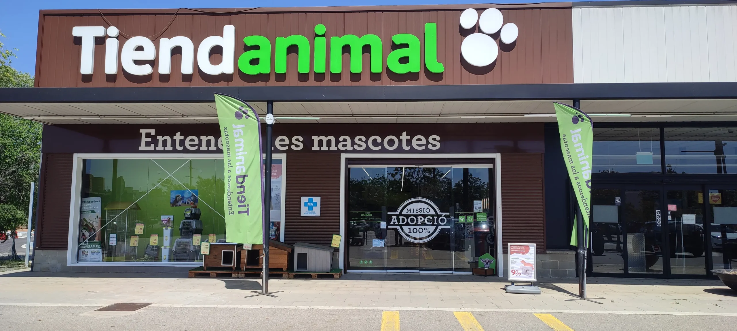 Buying a pet in Spain from a reputable pet shop