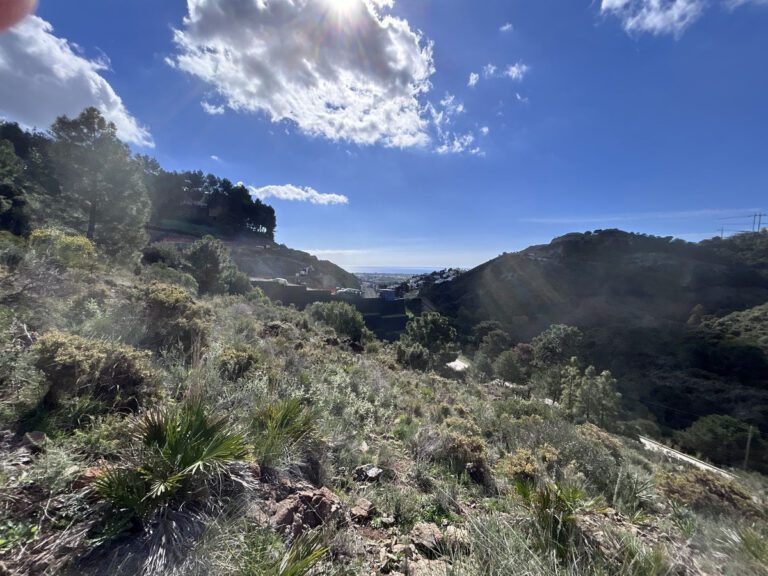 Prime 6,310 m² Plot For Sale in El Madronal Benahavis