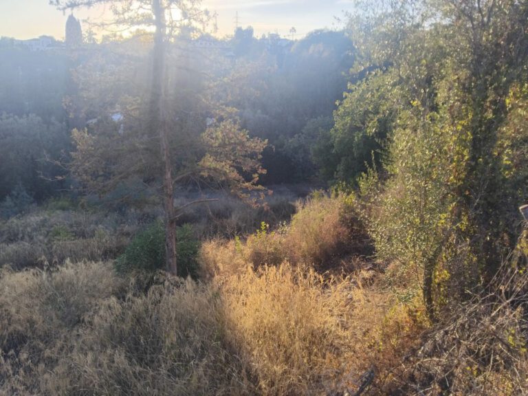 Elevated Plot For Sale in La Quinta Benahavis